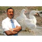 VATANDAŞI YOLUNACAK KAZ GÖREN BELEDİYE BAŞKANI!